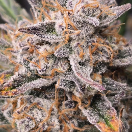 Strawberry Lemonade
