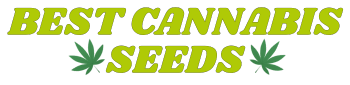 BestCannabisSeeds.it